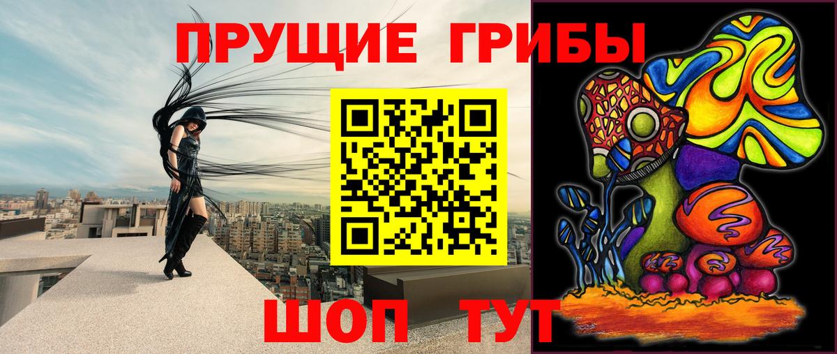 Псилоцибиновые грибы прущие грибы  Псилоцибиновые грибы мухоморы  Вход с VPN  Благодарный 