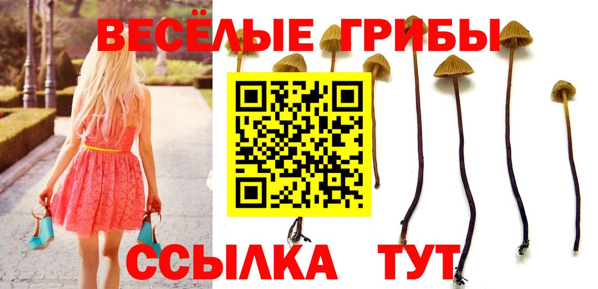 Псилоцибиновые грибы мухоморы Благодарный